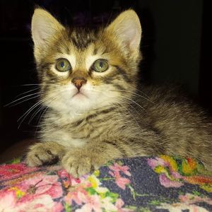 Meet your Posher, Kathy