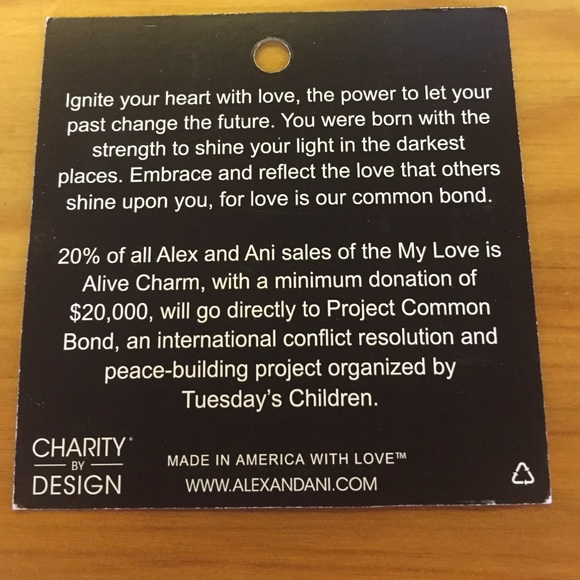 My Love is Alive Alex and Ani bracelet in silver! - Picture 3 of 3