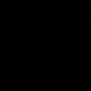 Meet your Posher, Sherry