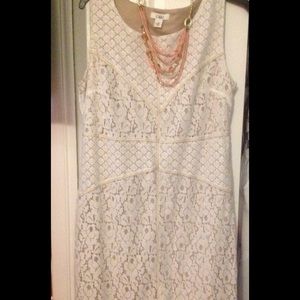 Elegant shift style dress in beautiful lace look.