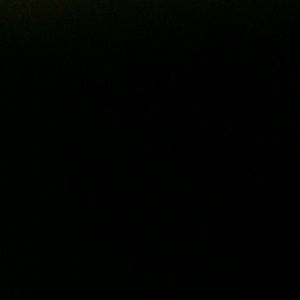 Meet your Posher, Shanda