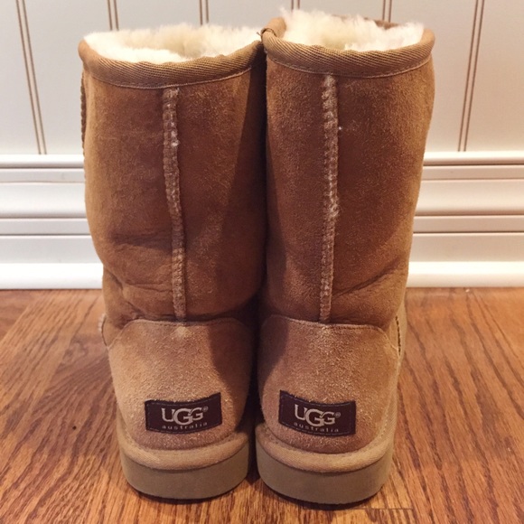 ugg australia classic short boot chestnut ugg australia classic short boot chestnut