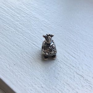 Pandora charm