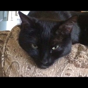 Meet your Posher, Stacey