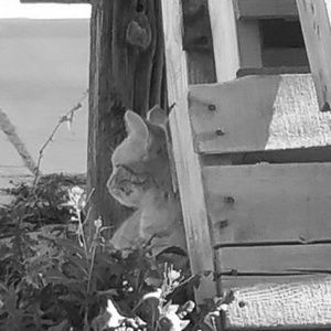 Meet your Posher, Wendy