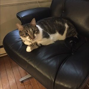 Meet your Posher, Hillary