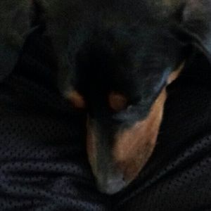 Meet your Posher, Brenda