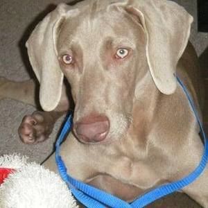 Meet your Posher, Darlene