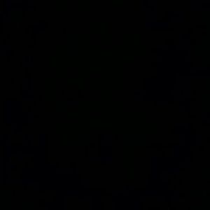 Meet your Posher, Candice