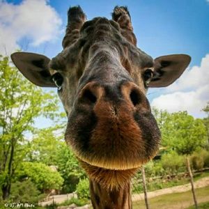 Meet your Posher, Kathy