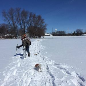 Meet your Posher, Molly