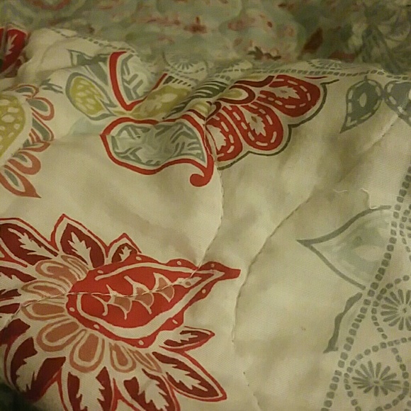 Meet your Posher, Amber - Picture 1 of 1