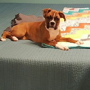 Meet your Posher, Denise