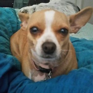 Meet your Posher, Justine