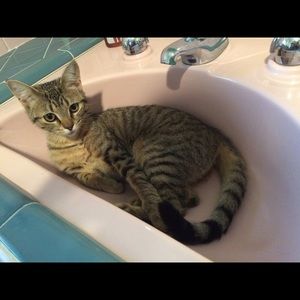 Meet your Posher, Eric