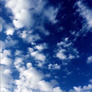 Meet your Posher, Dakota