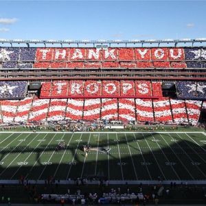 Meet your Posher, Shelley