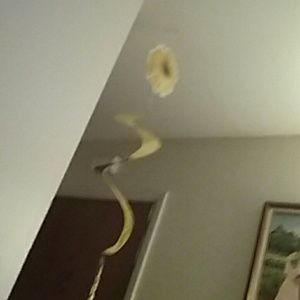 Meet your Posher, Mary e