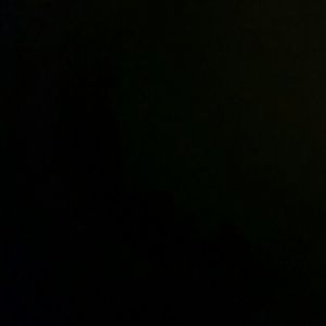 Meet your Posher, Abbie