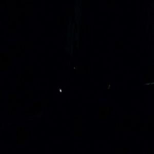 Meet your Posher, Jodi