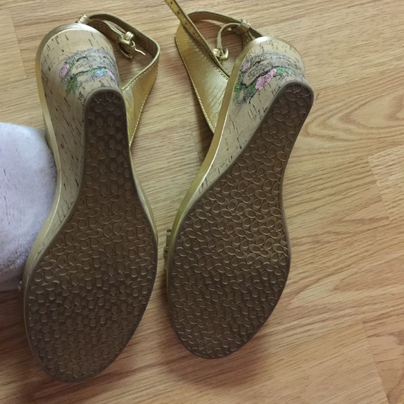 Wedges - Picture 3 of 3