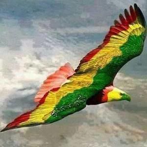 Meet your Posher, Faye