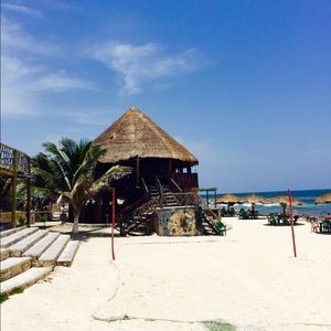 Meet your Posher, Janell