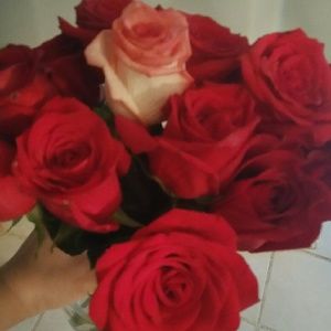 Meet your Posher, Dolores