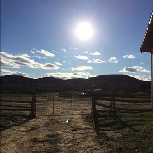 Meet your Posher, Ann