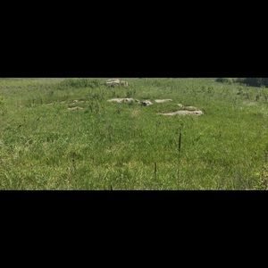 Meet your Posher, Kaci