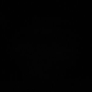 Meet your Posher, Daisy