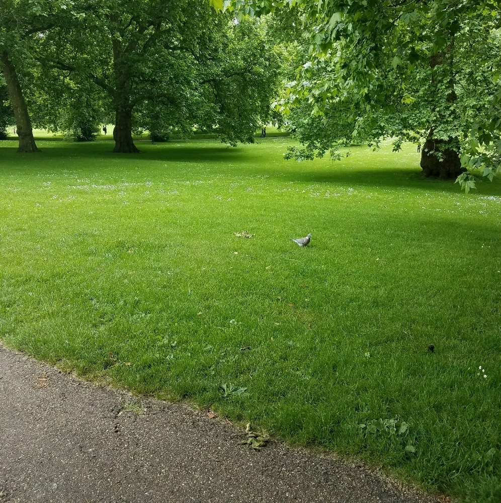 Meet your Posher, Jackie