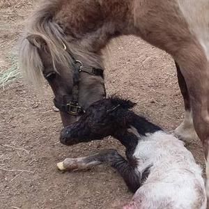 Meet your Posher, Sarena