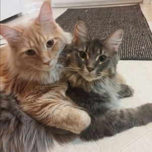 Meet your Posher, Saeda