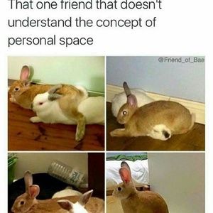 Meet your Posher, Ty