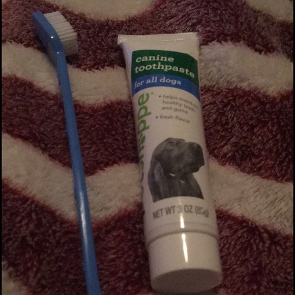 Doggie toothpaste and toothbrush