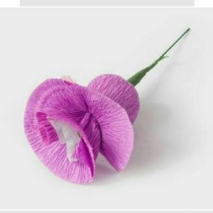 Meet your Posher, Yesenia