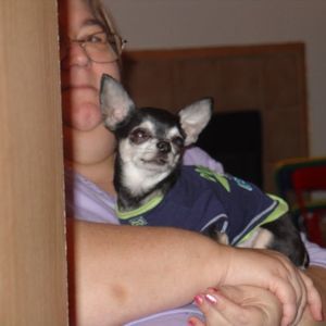 Meet your Posher, Cindy