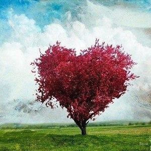 Meet your Posher, Kari