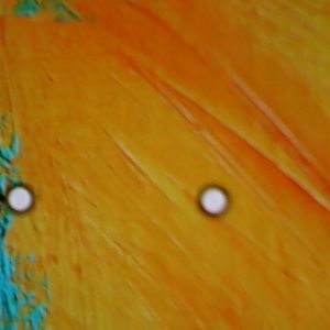 Meet your Posher, Bee