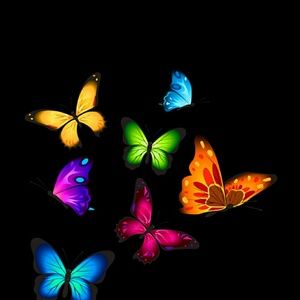 Meet your Posher, Kathryn