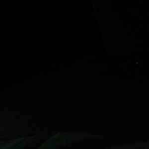 Meet your Posher, Jacqueline