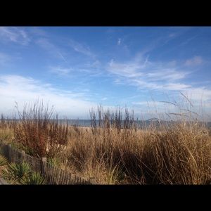 Meet your Posher, Terry