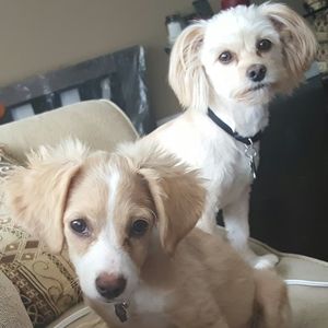 Meet your Posher, Cascetta