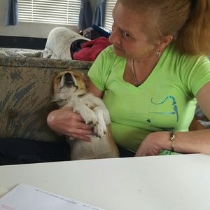 Meet your Posher, Lisa