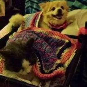 Meet your Posher, Pattyj