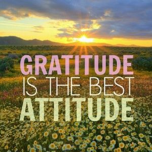 Meet your Posher, Marie