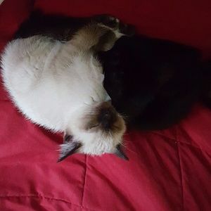 Meet your Posher, Kim