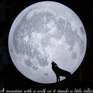 Meet your Posher, Holly