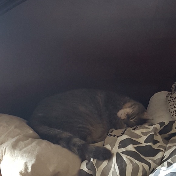 Meet your Posher, Anna - Picture 2 of 2